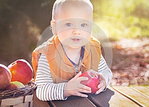 Happy child (baby boy) with red apples in the autumn (fall) day. Kid eating healthy food, snack.