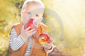 Happy child (baby boy) with two red organic apples in the autumn (fall) day. Kid eating healthy food, snack.