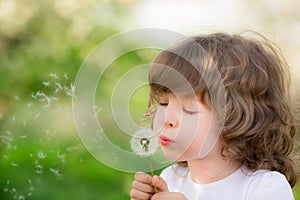 Happy child blowing dandelion