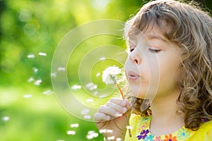 Happy child blowing dandelion flower outdoors