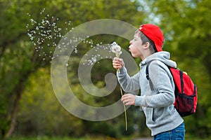 Happy child blowing dandelion flower outdoors. Boy having fun in spring park. Blurred green background