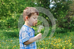 Happy child blowing dandelion outdoors in par. Summer outdoor