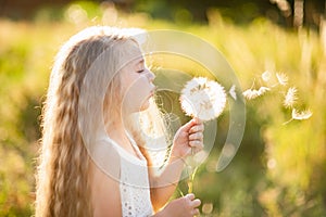 Happy child blowing dandelion outdoors in park