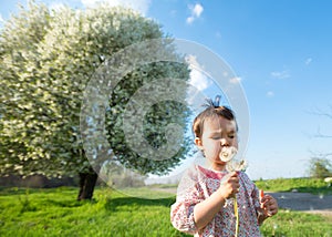 Happy child blowing dandelion outdoors in spring