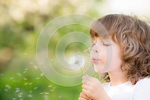 Happy child blowing dandelion