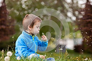 Happy child blowing dandelion outdoors in spring park