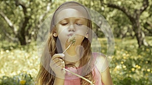 Happy child blowing dandelion in park