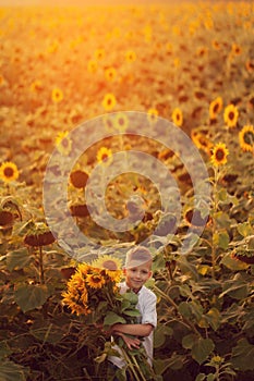 Happy child with bouquet of beautiful sunflowers in summer sunflower field on sunset. Mother day