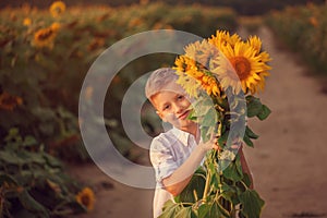 Happy child with bouquet of beautiful sunflowers in summer sunflower field on sunset. Mother day