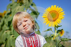 Happy child boy in ethnic Ukrainian embroidered shirt next to a sunflower on the field