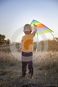 Happy child boy play with a kite running on summer meadow