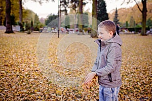 Happy child boy playing with colorful leaves