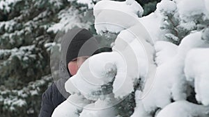 Happy child boy plays with snowy fir tree branches, winter forest, beautiful landscape