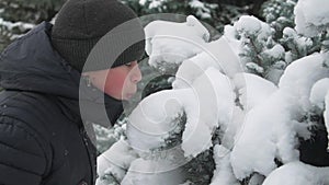 Happy child boy plays with snowy fir tree branches, winter forest, beautiful landscape