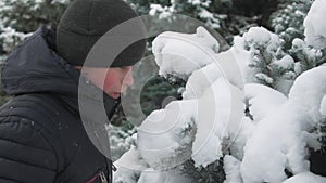 Happy child boy plays with snowy fir tree branches, winter forest, beautiful landscape