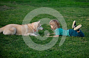 Happy child and dog on grass. Cute boy child with dog relaxing on park. Fun games with pet on summer vacation. Husky dog