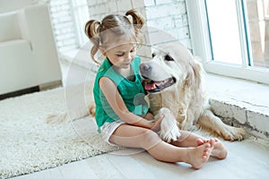 Happy child with a dog. Portrait of a girl with a pet. Labrador Retriever at home.