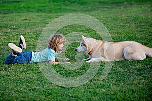 Happy child with dog. Portrait kids boy with pet playing outside. Fun games with pet on summer vacation. Husky dog and
