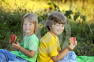 Happy child eating watermelon in garden. Two boys with fruit in