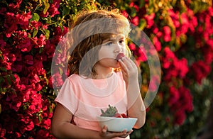 Happy child eats strawberries. Healthy kids food. Organic nutrition.
