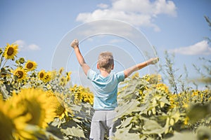 Happy child field Freedom and happiness concept on sunflower outdoor. Kid having fun in green spring field against blue sky