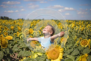 Happy child field Freedom and happiness concept on sunflower outdoor. Kid having fun in green spring field against blue sky