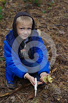Happy child gathers mushrooms in the autumn forest