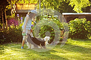 Happy child girl playing with her spaniel dog and throwing ball