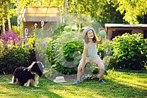 Happy child girl playing with her spaniel dog and throwing ball