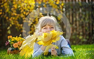 Contento poco giardiniere autunno un raccolta foglie sul Giardino dietro la casa erba 