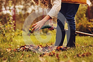 Happy child girl playing little gardener in autumn and picking leaves into basket