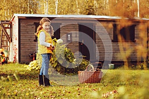 Happy child girl playing little gardener in autumn and picking leaves into basket