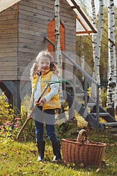 Happy child girl playing little gardener in autumn and picking leaves into basket. Seasonal garden work