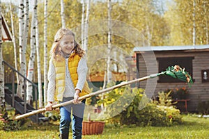 Happy child girl playing little gardener in autumn and picking leaves into basket. Seasonal garden work