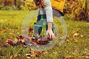 Happy child girl playing little gardener in autumn and picking leaves into basket. Seasonal garden work.