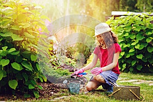 Happy child girl playing little gardener and helping in summer garden, wearing hat and gloves