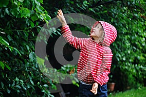 Happy child girl playing under the rain in summer garden