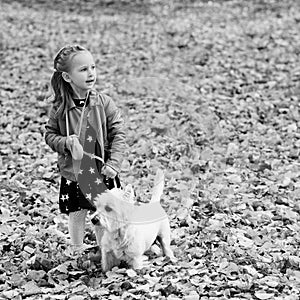 Happy child girl runs. Child has fun and plays with her dog during walk in autumn forest. Stylish girl in autumn park. Family, pet