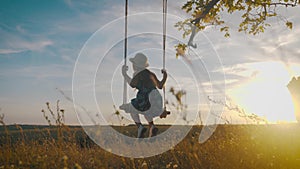 Happy child girl on swing at golden summer sunset. Silhouette of a young teenager girl swinging on the lone tree at