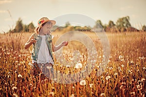 Happy child girl walking on summer meadow with dangelions. Rural country style scene, outdoor activities.