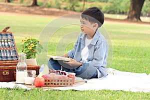 Happy child having a picnic in summer park, cute Asian boy reading book and studying outside while sitting on mat on green grass.