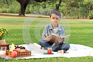 Happy child having a picnic in summer park, cute Asian boy reading book and studying outside while sitting on mat on green grass.