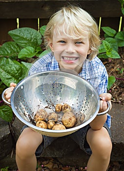 Happy child holding bowl of organic potatoes