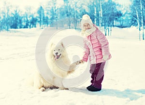 Happy child holding paw white Samoyed dog on snow in winter