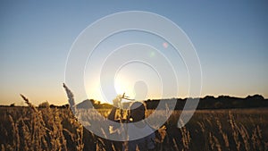 Happy child jogs among meadow playing with toy plane over sunset background. Cheerful small girl running with airplane