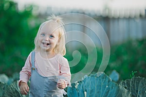 Happy Child Laugh In Cabbage Garden Summertime