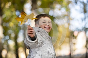 Happy child in the park outdoors, scatters leaves