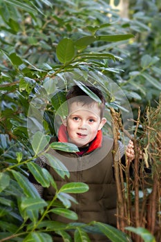 Happy child peeking through a gap in the tree