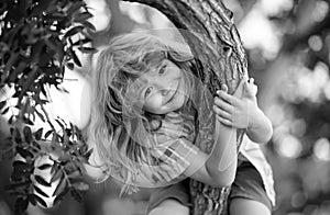 Happy child playing in the garden climbing on the tree. Boy climbs up the tree in summer park.