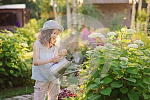 happy child playing little gardener and watering hydrangea bush in sunny summer garden, little helper concept